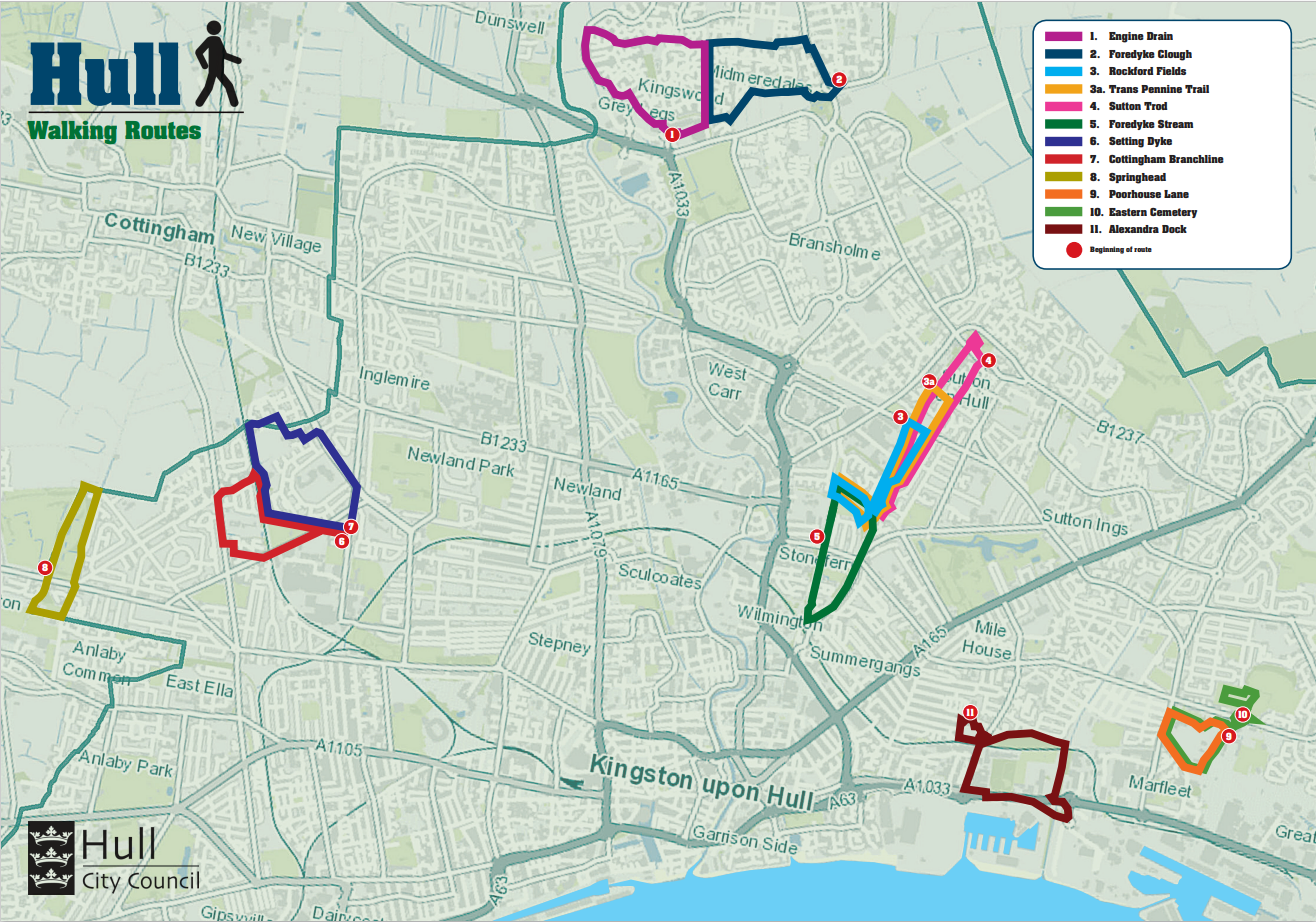Full map of Hull walking routes