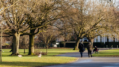 Walking route