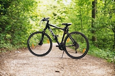 A picture of a bike in the woods